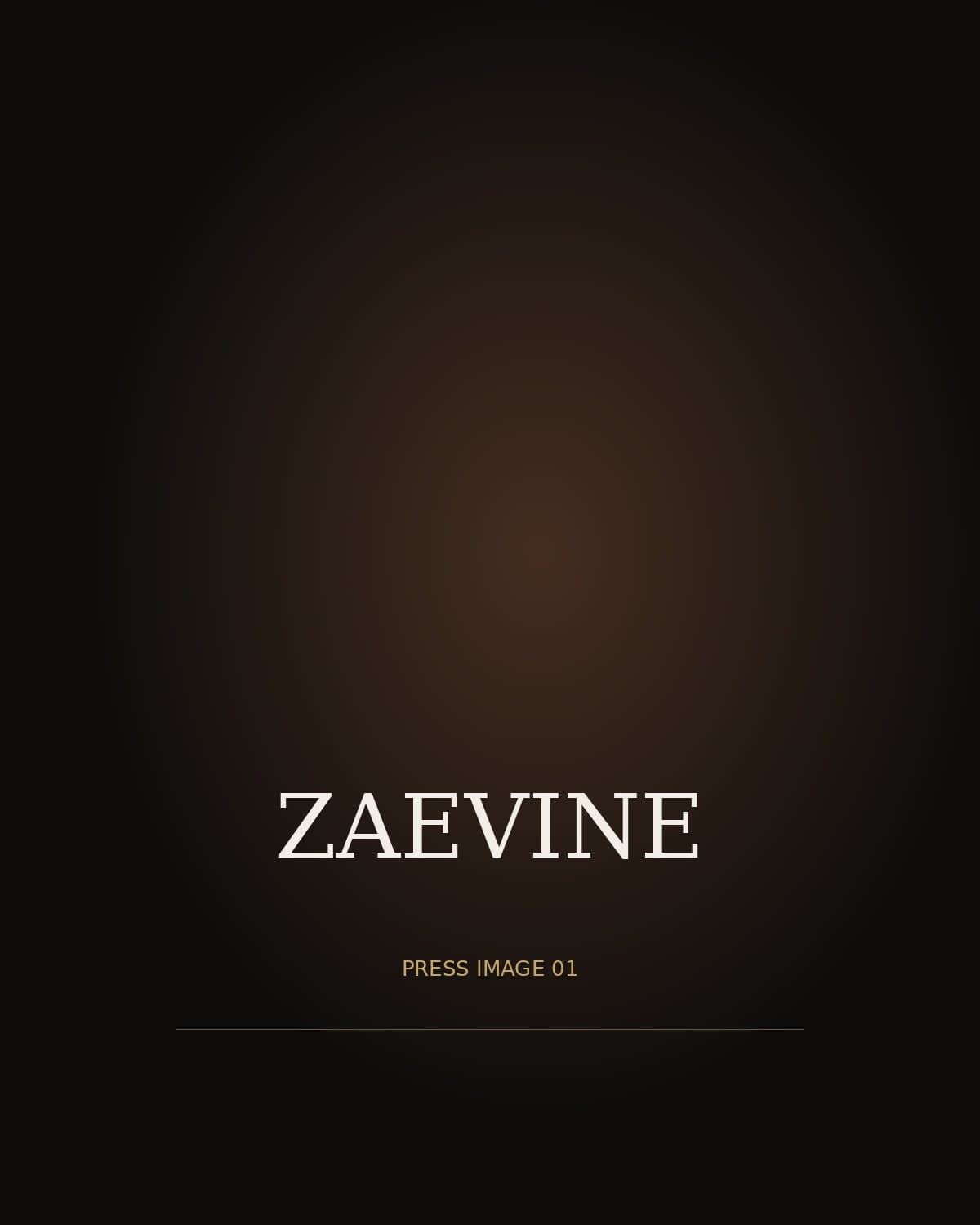 Official ZAEVINE press image